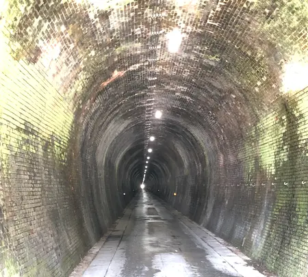 山中トンネルの写真・動画_image_507954