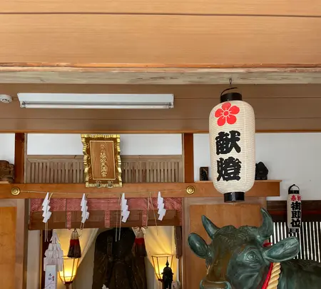 琴似神社の写真・動画_image_508485