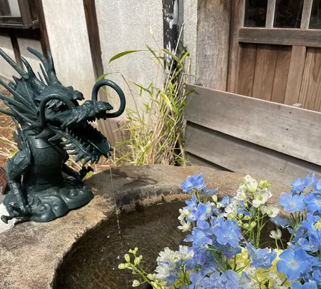 琴似神社の写真・動画_image_508488