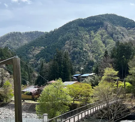 道の駅たばやまの写真・動画_image_509701