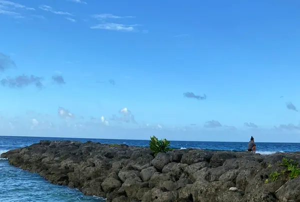 Hagania Bay（ハガニア湾）の写真・動画_image_512454
