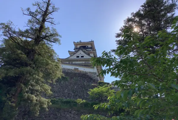 高知城の写真・動画_image_513162