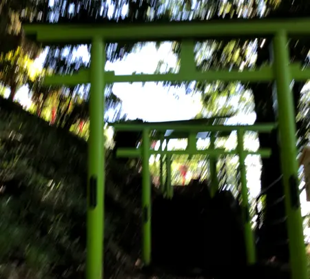 足利織姫神社 七色の鳥居の写真・動画_image_513332