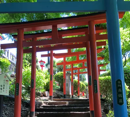 足利織姫神社 七色の鳥居の写真・動画_image_513334