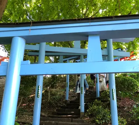 足利織姫神社 七色の鳥居の写真・動画_image_513335