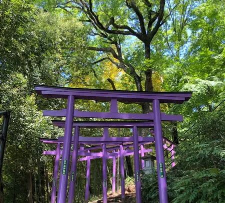 足利織姫神社 七色の鳥居の写真・動画_image_513339