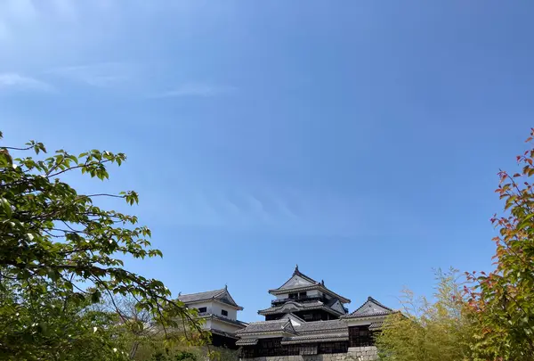 松山城の写真・動画_image_513894
