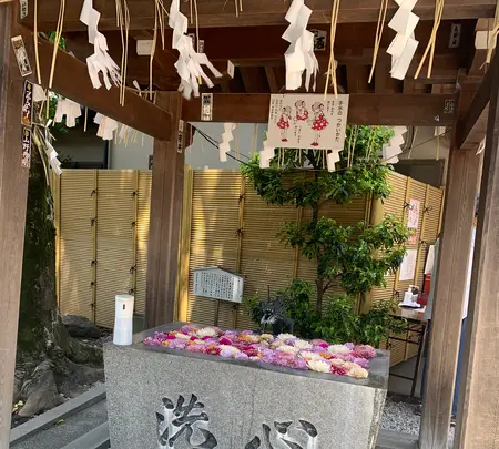 蛇窪神社（天祖神社）の写真・動画_image_514083