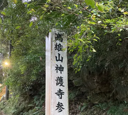 神護寺の写真・動画_image_517493