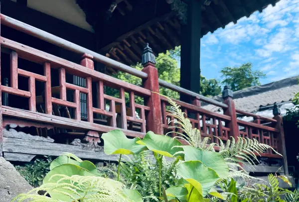 聖福寺の写真・動画_image_518703
