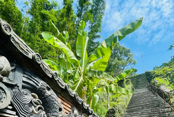 聖福寺の写真・動画_image_518709