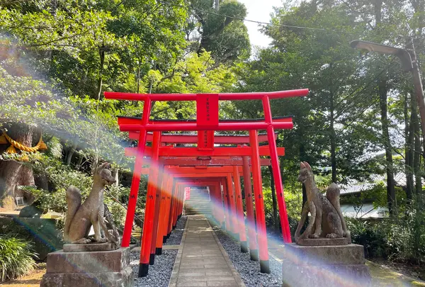諏訪神社の写真・動画_image_518715