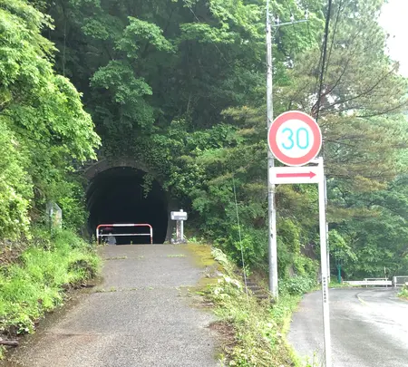 琴平トンネルの写真・動画_image_518933