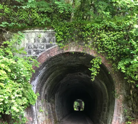 琴平トンネルの写真・動画_image_518936