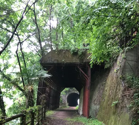 琴平トンネルの写真・動画_image_518937