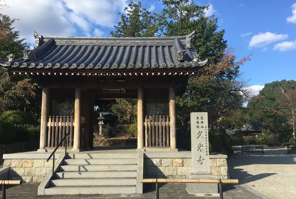久米寺の写真・動画_image_520491