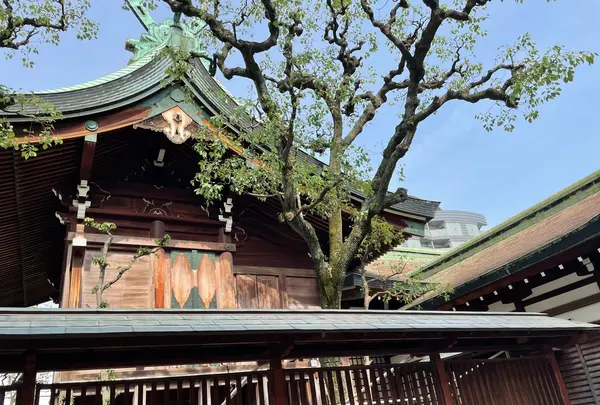 今宮戎神社の写真・動画_image_522963