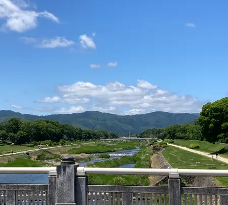 上賀茂神社（賀茂別雷神社）の写真・動画_image_523417