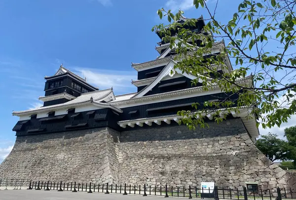 熊本城の写真・動画_image_523987
