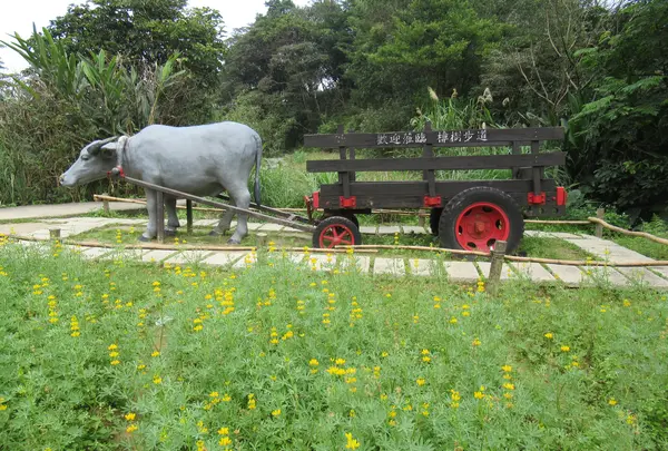樟树步道, Wenshan Districtの写真・動画_image_525472