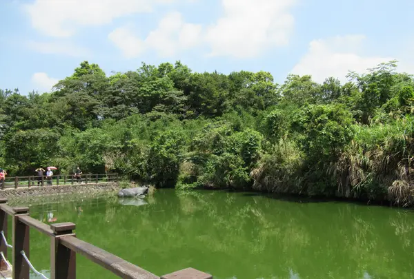 樟树步道, Wenshan Districtの写真・動画_image_525474