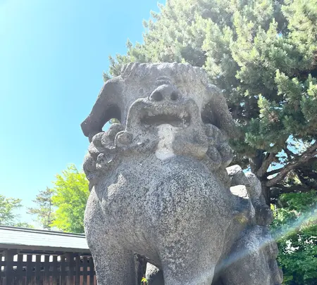 多賀神社の写真・動画_image_526690
