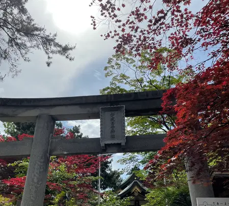 彌彦神社の写真・動画_image_526699
