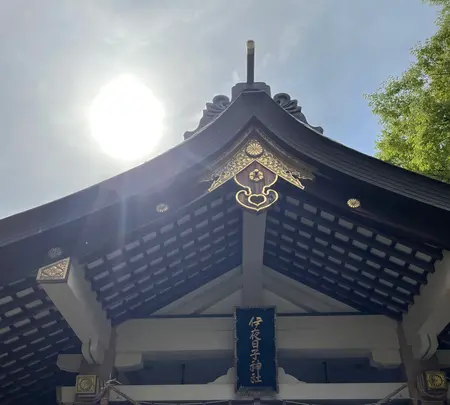 彌彦神社の写真・動画_image_526701