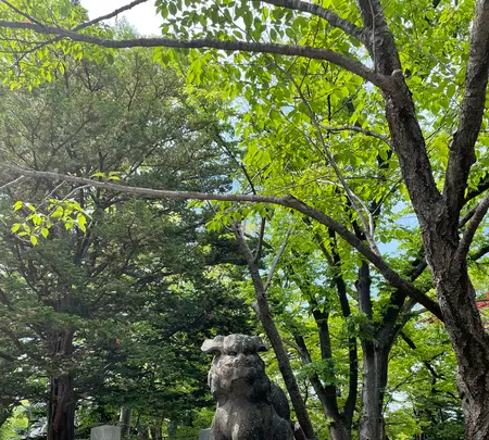 彌彦神社の写真・動画_image_526702