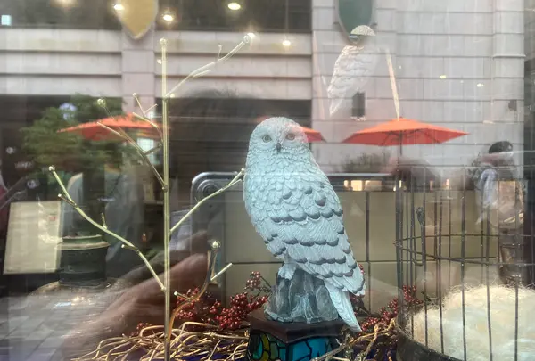 ハリー・ポッター マホウドコロの写真・動画_image_527496