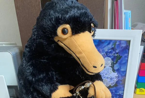 ハリー・ポッター マホウドコロの写真・動画_image_527501