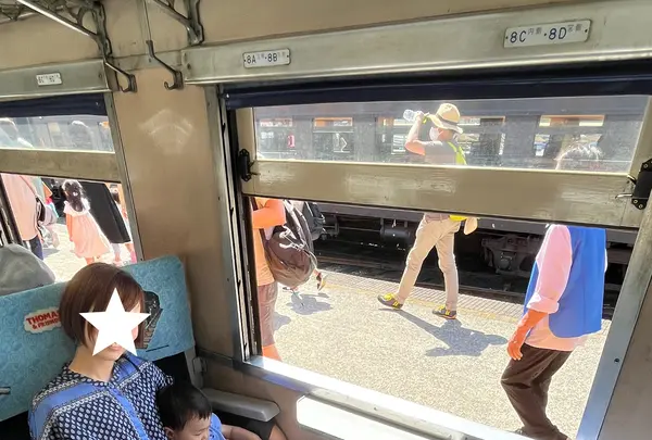 大井川鐵道　SL列車の写真・動画_image_530833