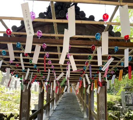 長谷寺の写真・動画_image_533598