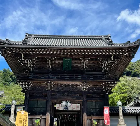 長谷寺の写真・動画_image_533599