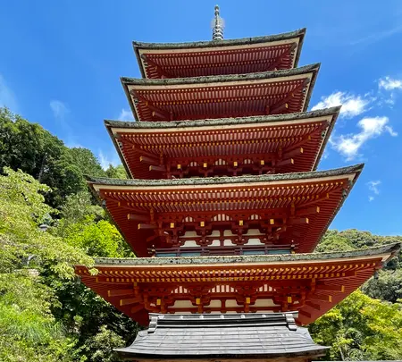 長谷寺の写真・動画_image_533601