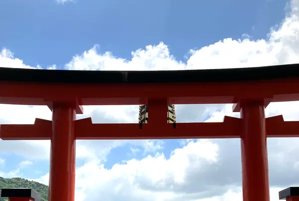 箱根神社 平和の鳥居の写真・動画_image_534171