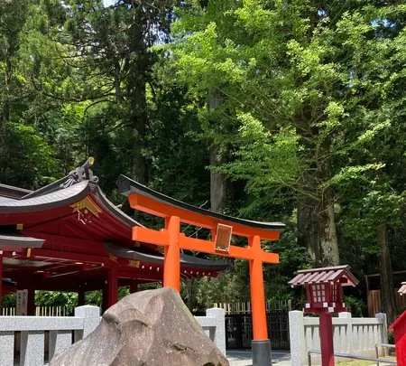 箱根神社の写真・動画_image_534175