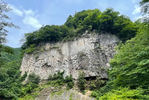 巌立峡の写真・動画_image_534367