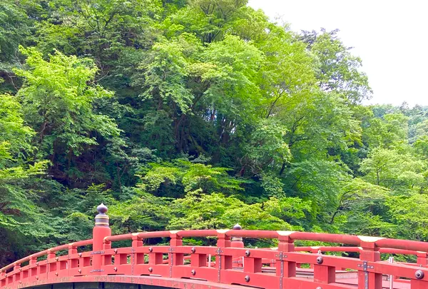 神橋の写真・動画_image_534453