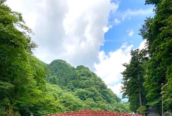 神橋の写真・動画_image_534454