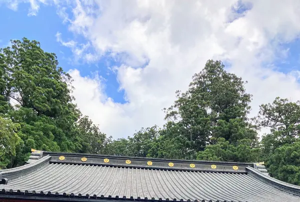日光二荒山神社の写真・動画_image_534458