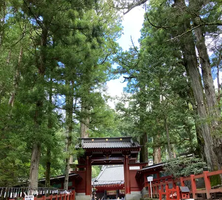 日光二荒山神社の写真・動画_image_534461