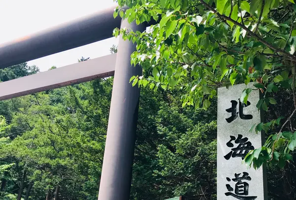 北海道神宮の写真・動画_image_534788