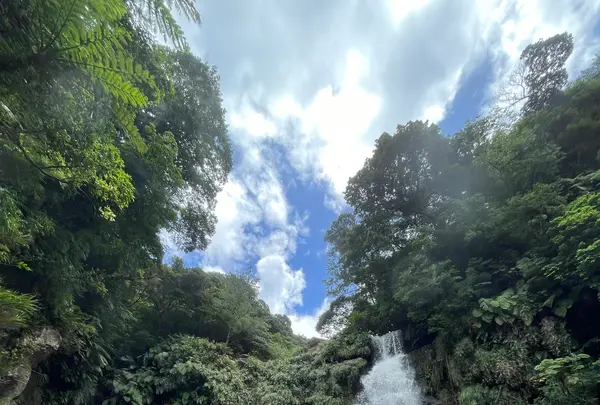 ナーラの滝の写真・動画_image_535632