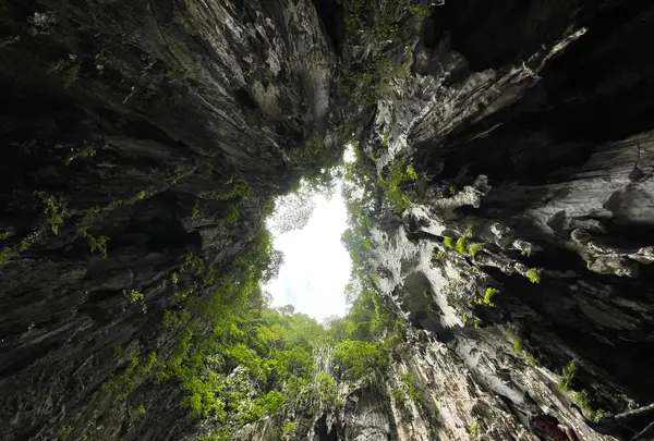  Batu Caves（バトゥ洞窟）の写真・動画_image_535758