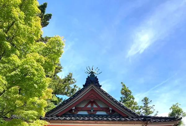 金澤神社の写真・動画_image_538061