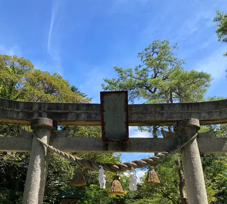 金澤神社の写真・動画_image_538063