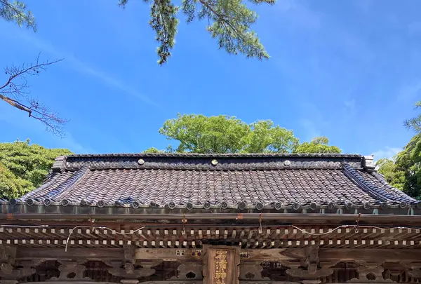 石浦神社の写真・動画_image_538066