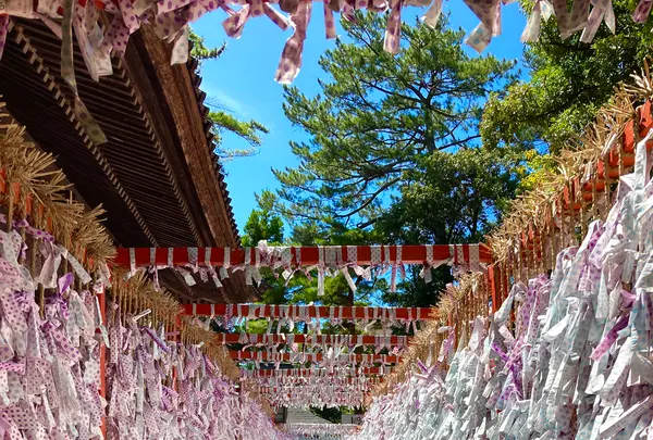石浦神社の写真・動画_image_538067