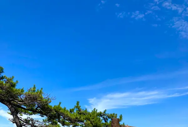 ヤセの断崖の写真・動画_image_538121